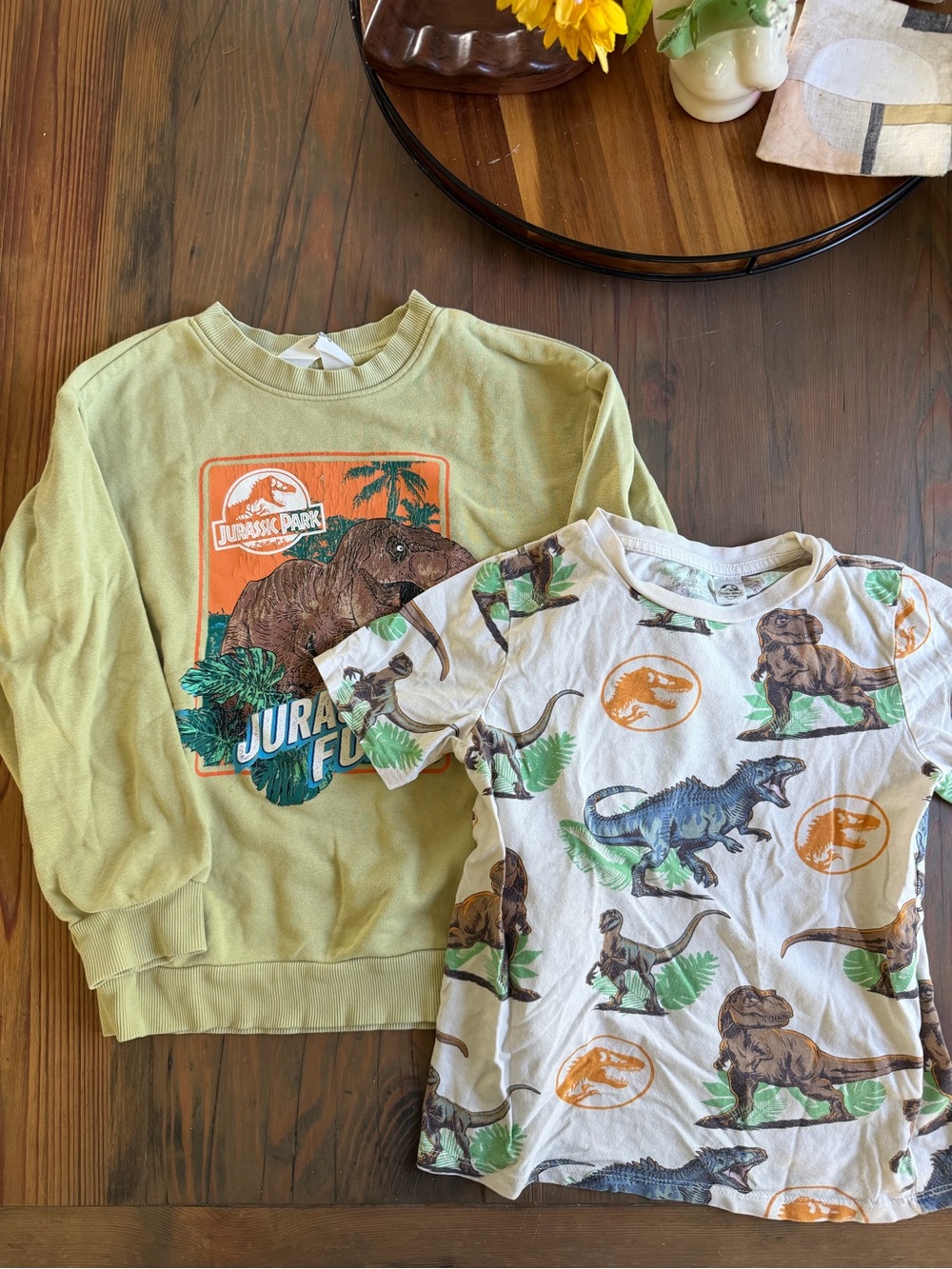 Jurassic Park Dinosaurs Kids Sweatshirt & Tshirt LOT Size 6/7 H&M